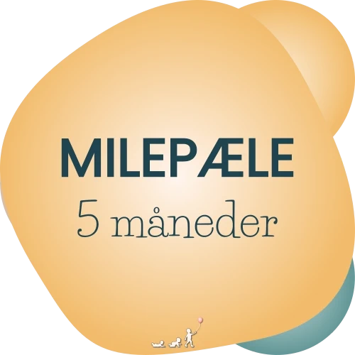 baby milepæle - måned 5