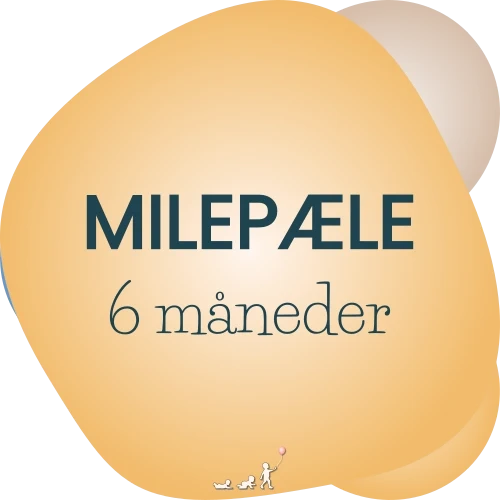 baby milepæle - måned 6