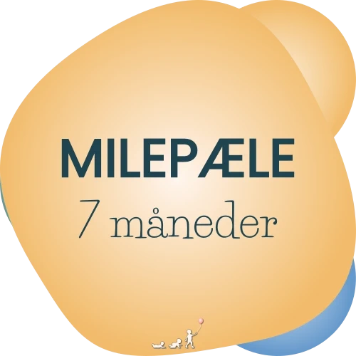 baby milepæle - måned 7