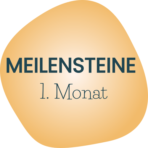 de meilensteine 01a